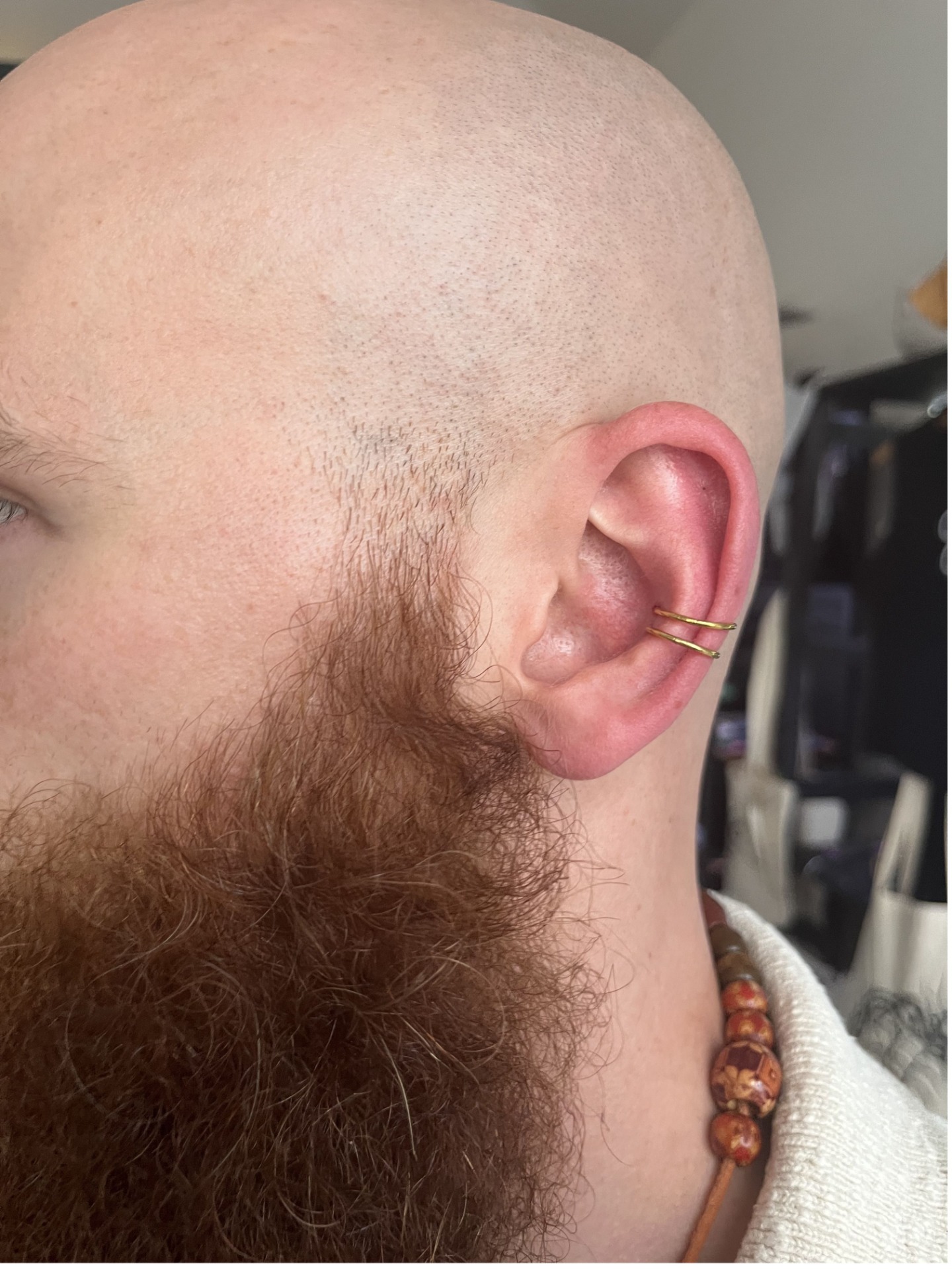 zahojený double conch 